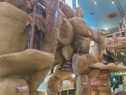 -卡通尼·Safari非洲探索乐园·生日会(金桥国际商业广场店)