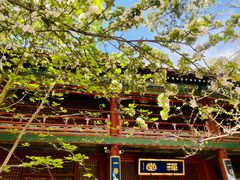 -潭柘寺景区