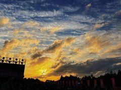 -春花秋色城市公园