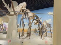 -国家自然博物馆