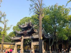 -西园戒幢律寺
