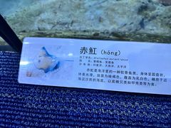 -郑州海洋馆