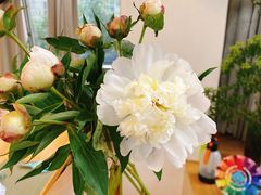 -森野花艺培训·企业团建活动沙龙