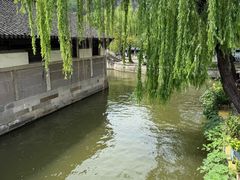 -鲁镇
