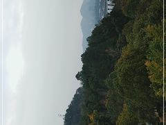 -河源万绿湖美思威尔顿酒店