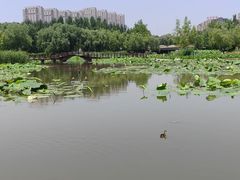 -前关湿地公园