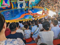 -海合安武汉极地海洋公园