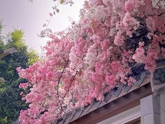 -深圳国际园林花卉博览园