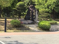 -飞凤山奥体公园