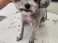 -北京观赏动物医院·24小时大型综合·猫专科·异宠专科