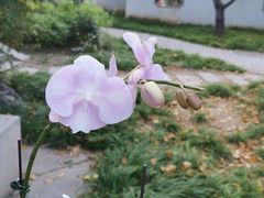-天津水上公园