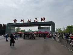 -曹州牡丹园