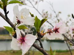 -同济大学(嘉定校区)