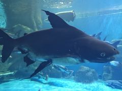 -多彩贵州城极地海洋世界