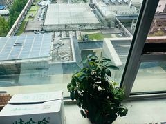 -圣手盲人按摩(苏州街店)