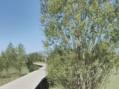 -野鸭湖国家湿地公园