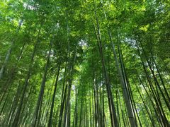 -陶祖圣境风景区