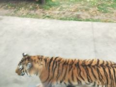 -西安秦岭野生动物园