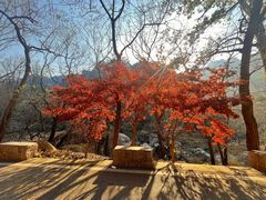 -崂山九水游览区