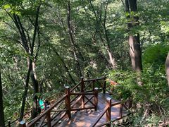 -大岭沟猕猴桃谷风景区