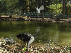 -长白岛森林公园