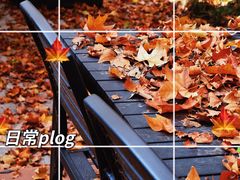 -河南省黄河迎宾馆