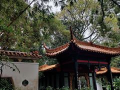 -广州兰圃