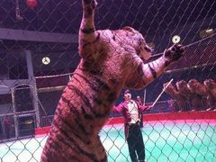 -西安秦岭野生动物园