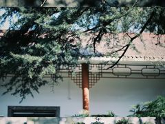 -南山植物园
