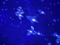 -济南方特东方神画