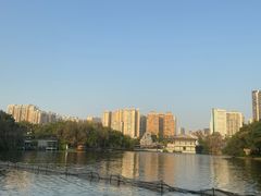 -荔湾湖公园