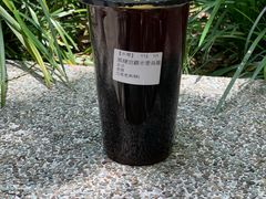 -老虎堂黑糖专壳 (尖沙咀乐道店)