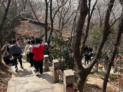 -宝岩生态观光园