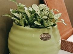 -厦门朗豪酒店 · 明阁中餐厅