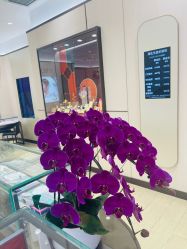 -周生生Chow Sang Sang(翠微店)