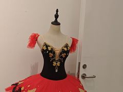 -小天使芭蕾舞团