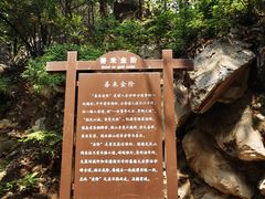 -阳台山自然风景区