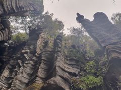 -梭布垭石林景区