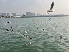 -蠡湖大桥公园