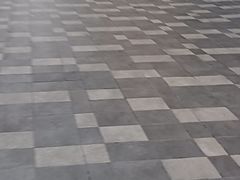 -湖锦酒楼·旗舰店(三阳总店)