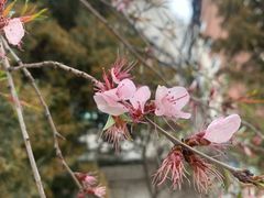 -迎泽公园