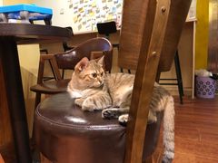-H立方实景剧情密室(天河旗舰店)