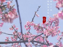 -静安雕塑公园
