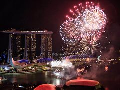 -新加坡瑞士史丹福酒店