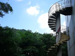 -南宁良凤江国家森林公园