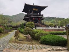 -大唐贡茶院