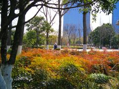 -白塘生态植物园