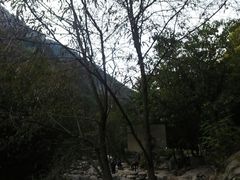 -少华山国家森林公园