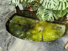 -燕北云山·农家菜·灶台鱼(密云溪翁庄店)