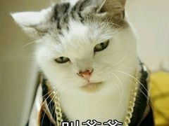-世新养生馆